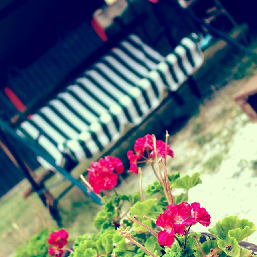 B&B Red House Garlate Dış mekan fotoğraf